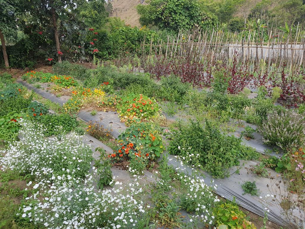 Rinjani Family Homestay Sembalunlawang Ngoại thất bức ảnh